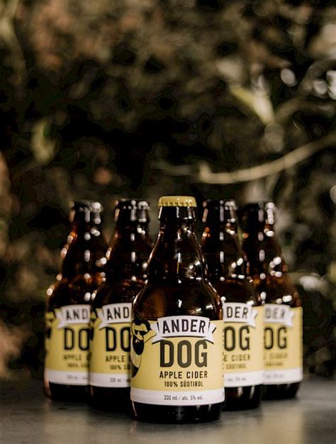 Apple Cider Ander Dog Six.